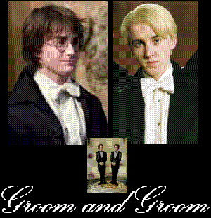 The Wedding Album